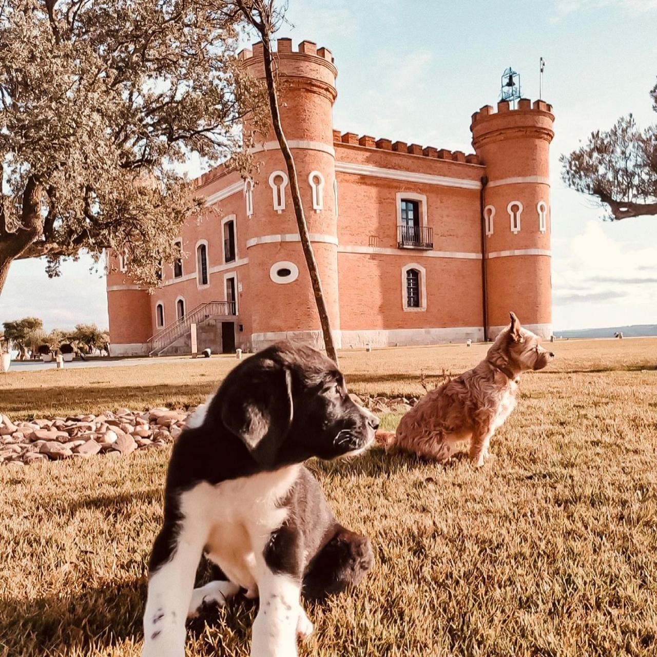 Castillo De Monte La Reina Posada Real & Bodega Toro Exterior photo